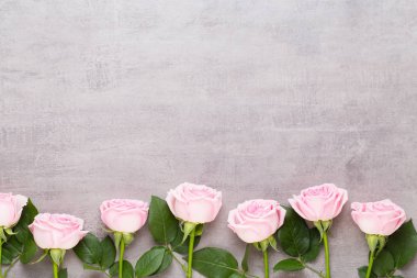 Çiçekler sevgililer günü kompozisyonu. GR üzerindeki pembe gülden yapılmış çerçeve