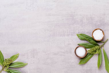 Bio bitkisel yeşil kozmetik düzenleme, deniz tuzu ve el yapımı çünkü