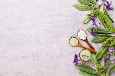 Bio bitkisel yeşil kozmetik düzenleme, deniz tuzu ve el yapımı çünkü