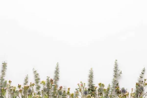 Carte de voeux de printemps, fleurs de gerbera de couleur pastel sur le blanc — Photo