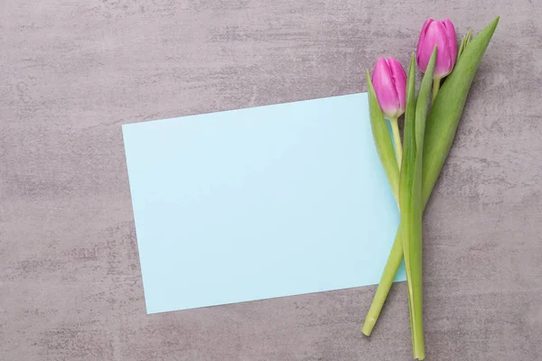 Frühling Grußkarte, rosa Farbe Tulpen auf dem grauen Hintergrund. — Stockfoto