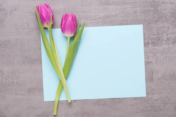 Frühling Grußkarte, rosa Farbe Tulpen auf dem grauen Hintergrund. — Stockfoto