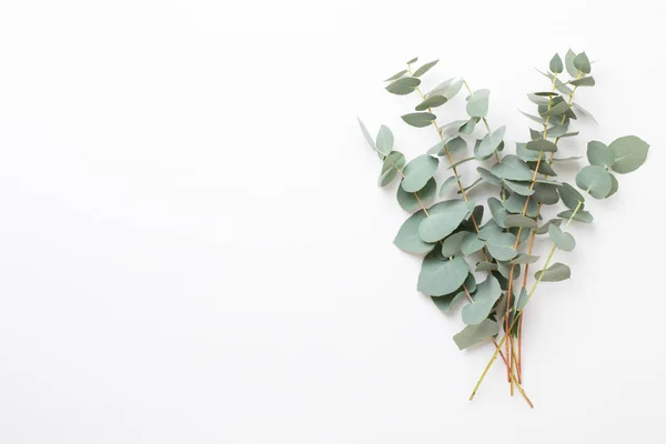 Blumen und Eukalyptus-Komposition. Muster aus verschiedenen Spulen — Stockfoto