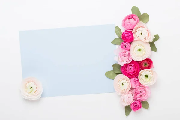 Flores de ranúnculo coloridas bonitas em um fundo branco. Spri... — Fotografia de Stock