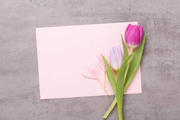 Frühling Grußkarte, rosa Farbe Tulpen auf dem grauen Hintergrund. — Stockfoto