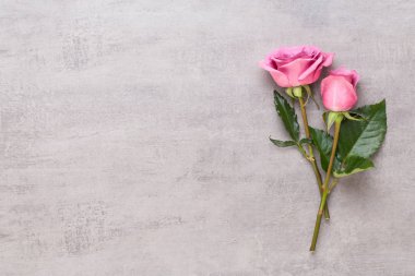 Çiçekler sevgililer günü kompozisyonu. GR üzerindeki pembe gülden yapılmış çerçeve