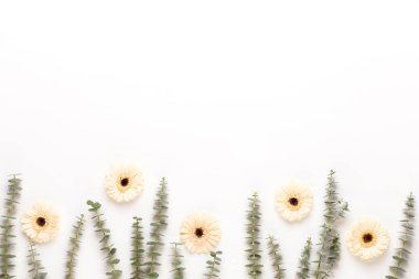 Bahar tebrik kartı, pastel renkli beyaz Gerbera çiçekleri. 