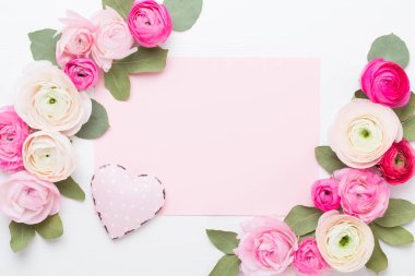 Beyaz bir arka plan üzerinde güzel renkli tipik çiçekler. Spri