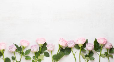 Çiçekler sevgililer günü kompozisyonu. GR üzerindeki pembe gülden yapılmış çerçeve