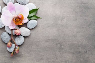 Spa orkide Tema nesneleri gri arka plan üzerinde.