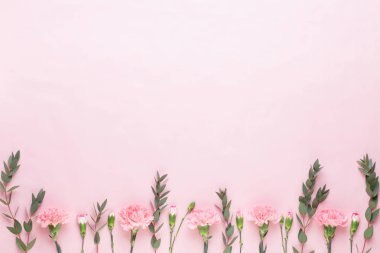 Çiçek ve eucaaliptus bileşimi. Desen çeşitli col yaptı