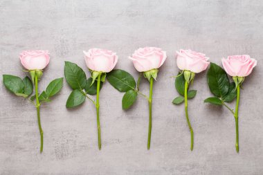 Çiçekler sevgililer günü kompozisyonu. GR üzerindeki pembe gülden yapılmış çerçeve