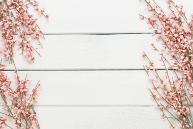 Bahar tebrik kartı, mercan rengi çiçekler üzerinde pastel b yaşayan