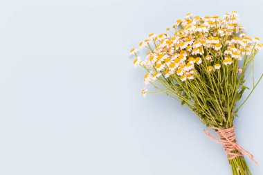 Papatya aromaterapi Tema, el yapımı kozmetik. metin için yer