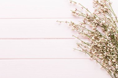 Güzellik ve moda kavramı üzerinde pastel rustik ahşap ayarla spa ile 