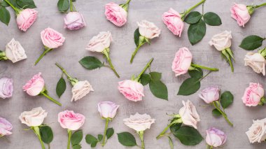 Çiçekler sevgililer günü kompozisyonu. GR üzerindeki pembe gülden yapılmış çerçeve