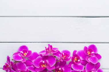 Güzellik gri bir arka plan üzerinde orkide. Spa sahne.