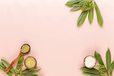 Bio bitkisel yeşil kozmetik düzenleme, deniz tuzu ve el yapımı çünkü