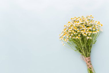 Papatya aromaterapi Tema, el yapımı kozmetik. metin için yer