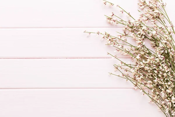 Güzellik ve moda kavramı üzerinde pastel rustik ahşap ayarla spa ile 