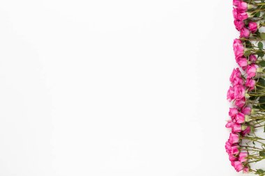 Çiçek kompozisyon. Kırmızı ile yapılmış kare geri ahşap beyaz gül