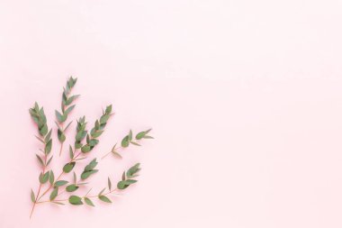 Çiçek ve eucaaliptus bileşimi. Desen çeşitli col yaptı