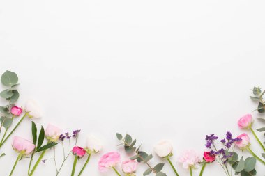 Beyaz bir arka plan üzerinde güzel renkli tipik çiçekler. Sprin