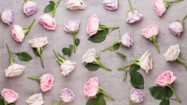 Çiçekler sevgililer günü kompozisyonu. GR üzerindeki pembe gülden yapılmış çerçeve