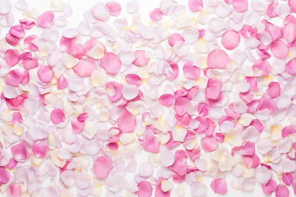 Rosa rosa pétalas de flores no fundo branco. Deitado plano, vista superior — Fotografia de Stock