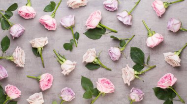 Çiçekler sevgililer günü kompozisyonu. GR üzerindeki pembe gülden yapılmış çerçeve