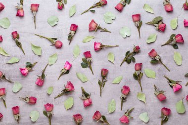 Çiçekler sevgililer günü kompozisyonu. GR üzerindeki pembe gülden yapılmış çerçeve