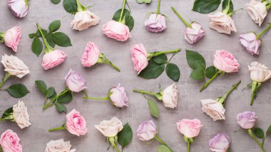 Çiçekler sevgililer günü kompozisyonu. GR üzerindeki pembe gülden yapılmış çerçeve