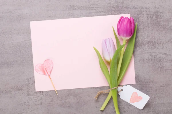 Frühling Grußkarte, rosa Farbe Tulpen auf dem grauen Hintergrund. — Stockfoto