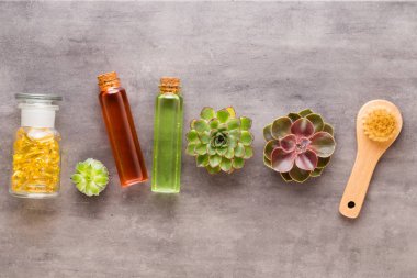 El yapımı biyo-kozmetik ve kaktüs kompozitli spa arka planı