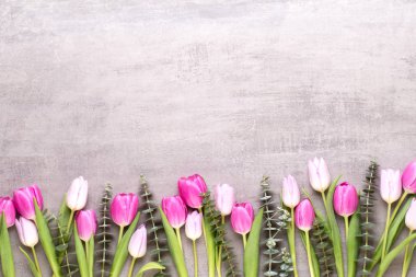 Bahar tebrik kartı, gri arka plan üzerinde pastel renk laleler