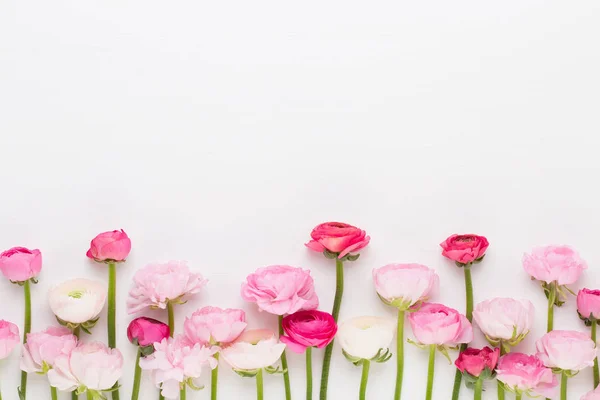 Όμορφα χρωματιστά ranunculus άνθη σε λευκό φόντο. — Φωτογραφία Αρχείου