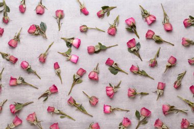 Çiçekler sevgililer günü kompozisyonu. GR üzerindeki pembe gülden yapılmış çerçeve