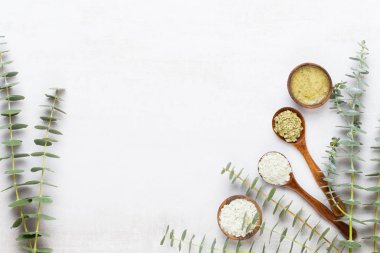 Bio bitkisel yeşil okaliptüs dalları kozmetik düzenleme, deniz s