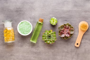 El yapımı biyo-kozmetik ve kaktüs kompozitli spa arka planı