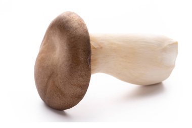 istiridye mantar beyaz zemin üzerine Kral.