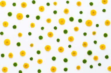 Çiçek kompozisyon. Beyaz bac üzerinde sarı çiçek desen yaptı