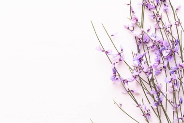 Çiçek kompozisyon. Pembe çiçekler pembe bir arka plan üzerinde. Paskalya, sp