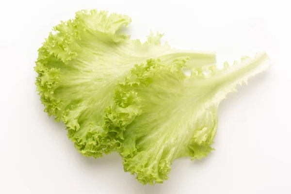 Salatblätter auf weißem Hintergrund. — Stockfoto