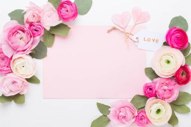 Beyaz bir arka plan üzerinde güzel renkli tipik çiçekler. Spri