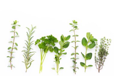 Beyaz bir arka planda bitkisel baharat. Üst görünüm.