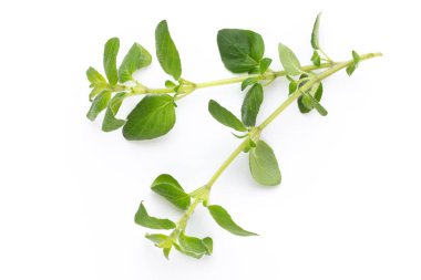 Beyaz bir arka planda bitkisel baharat. Üst görünüm.