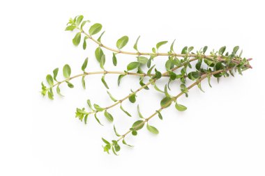 Beyaz bir arka planda bitkisel baharat. Üst görünüm.