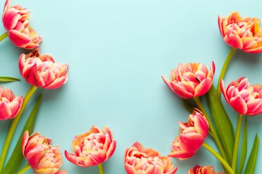 Bahar çiçekleri, pastel renkler zemin üzerine lale. Retro vintag