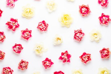 Pastel arka planda bahar çiçekleri laleleri. Retro vintage