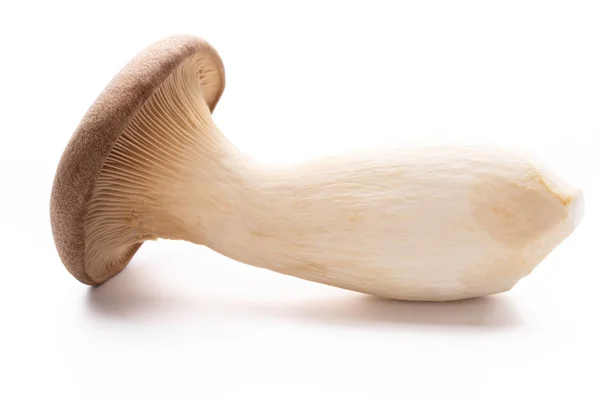 King oyster mushroom on white background. — Stock Photo, Image